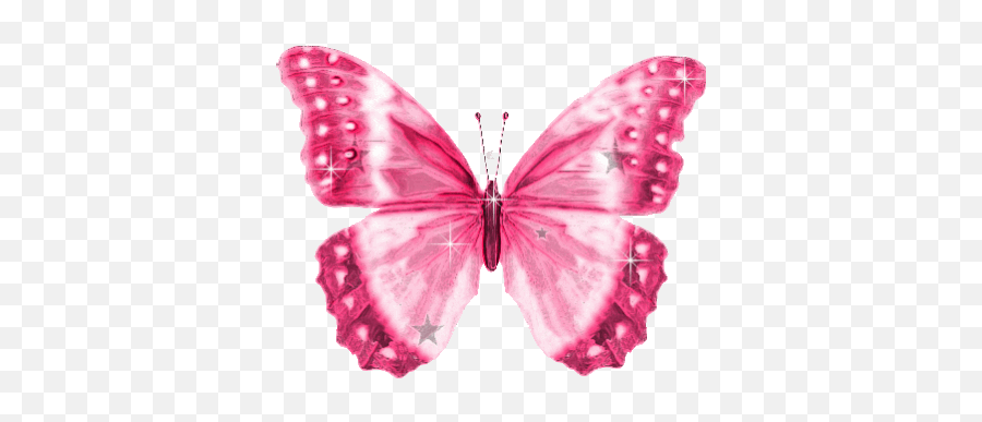 Myspace Glitter Graphics U2022 Free - Clipart Pink Butterfly Png,Funny Myspace Icon