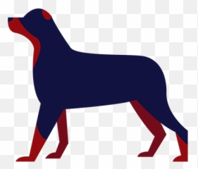 Battle Buddy Villagersforveterans - Microchip In Dogs And Cats png