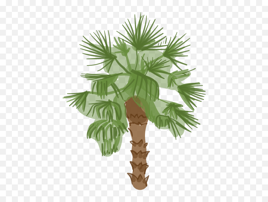 Lau0027s Palm Trees Are Dying And Itu0027s Changing The Cityu0027s - Palm Trees In Los Angeles Png,Modern Palm Tree Icon