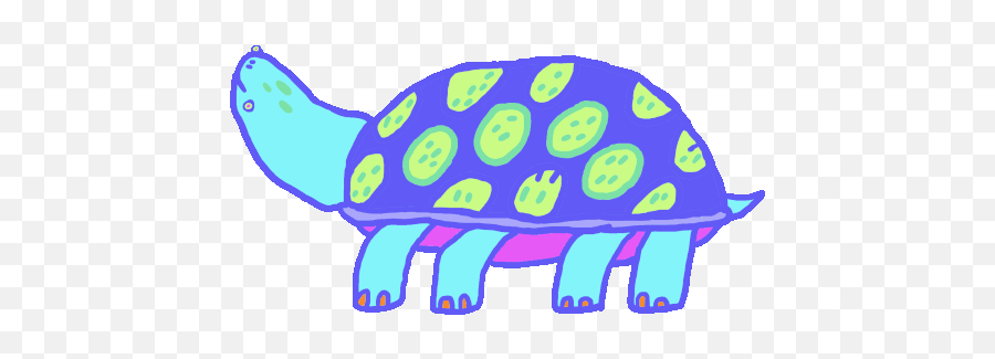 Turtle Tortoise Sticker - Turtle Tortoise Blue Discover Blue Turtle Gif Png,Toroise Icon