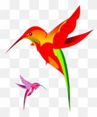Hummingbird Art Png Clipart Humming Bird