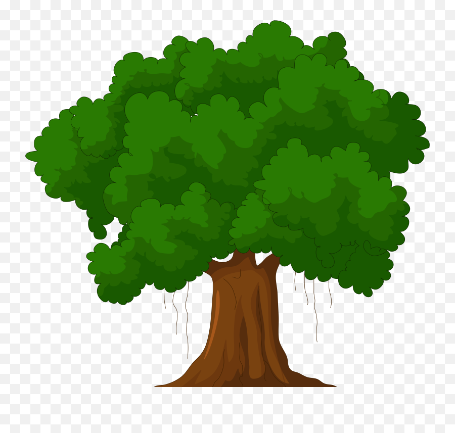 Free Cartoon Tree Transparent Background Download Clip - Narra Tree Clip Art  Png,Tree Canopy Png - free transparent png images 