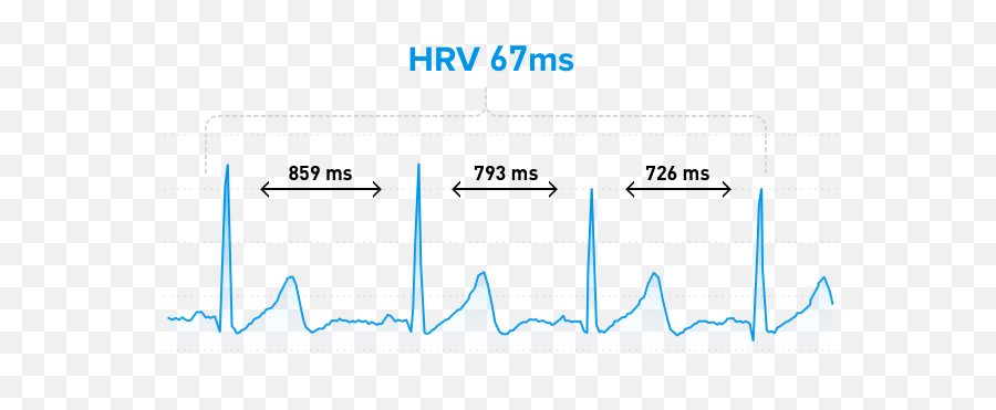 Heart Rate Variability The Ultimate Guide To Hrv Whoop - Heart Rate Variability Png,Heart Beat Png