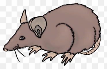 Rcpb40 Rat Clipart Png Blood Yespress - Rat Clipart,Rats Png