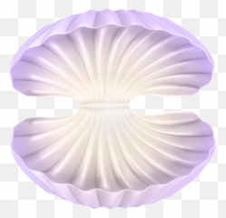 Download Png Open Clam Shell Clipart - Large Open Shell,Shell Png