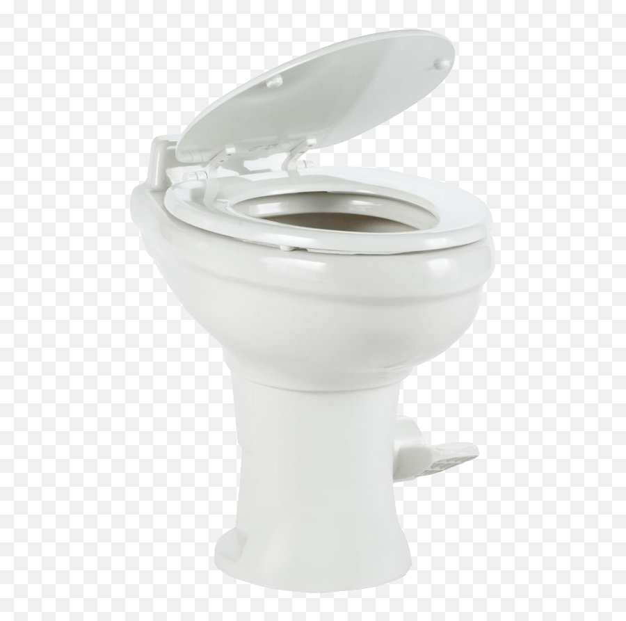 Transparent Bugs Toilet Seat Picture - Toilet Seat Png,Toilet Transparent