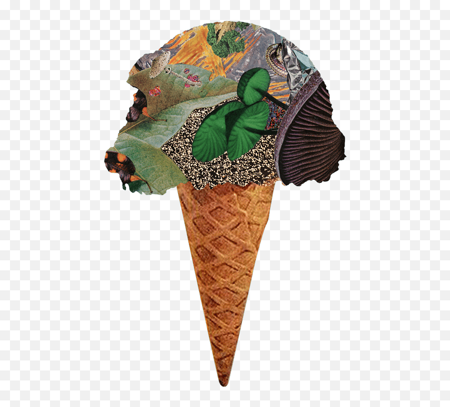 Ice Cream Party - Ice Cream Party Modest Mouse Png,Ice Cream Cone Transparent