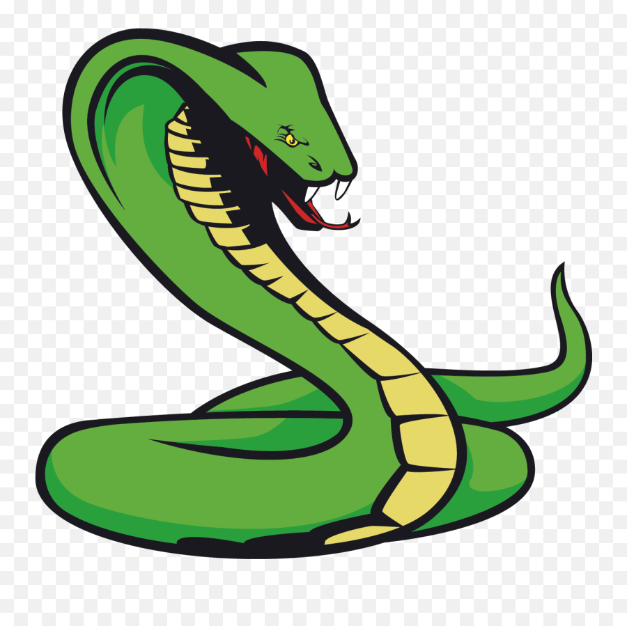 Snake Tattoo Png Transparent Quality - Cartoon Transparent Background Snake Png,Snake Transparent Background