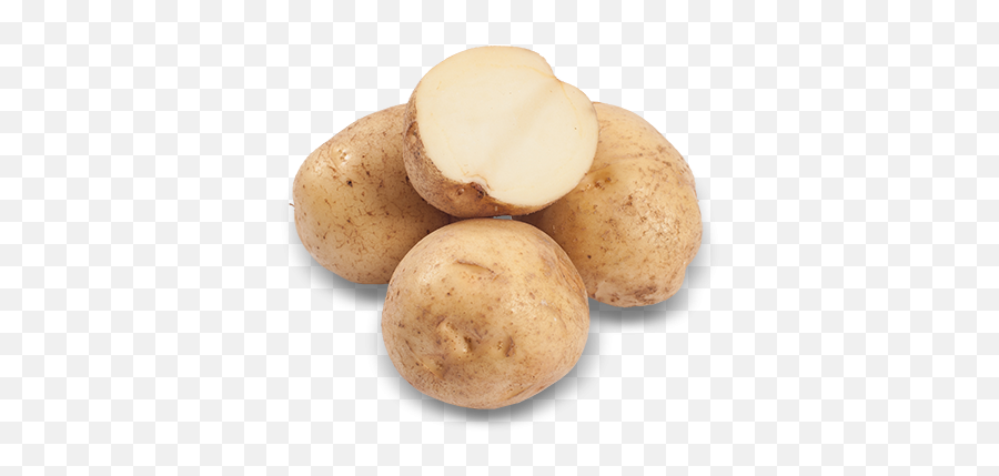 Round White Mccain Potatoes - Yukon Gold Potato Png,Potato Transparent