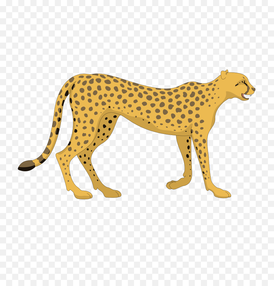 Cat Cheetah Walking - Free Vector Graphic On Pixabay Cheetah Clipart Png,Cat Tail Png