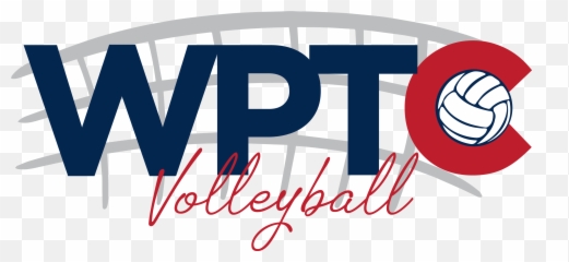 Volleyball - Logo2019 U2013 Western Pediatric Trauma Conference Volleyball Ball Png,Volleyball Logo