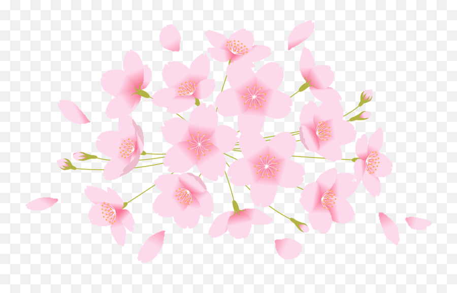 Download Flowering Dogwood Hd Png - Uokplrs Flowering Dogwood,Dogwood Png