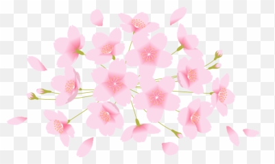 Download Flowering Dogwood Hd Png - Uokplrs Flowering Dogwood,Dogwood Png
