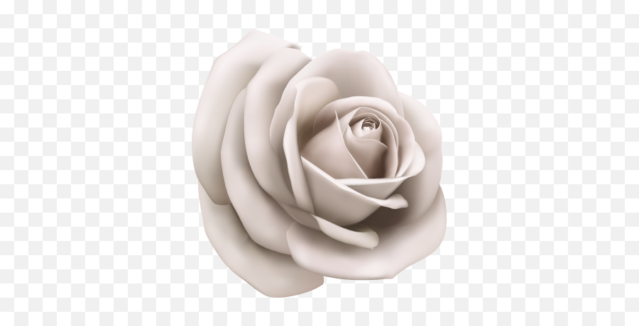 Paper Illustration - Vector White Rose Png,Paper Flower Png