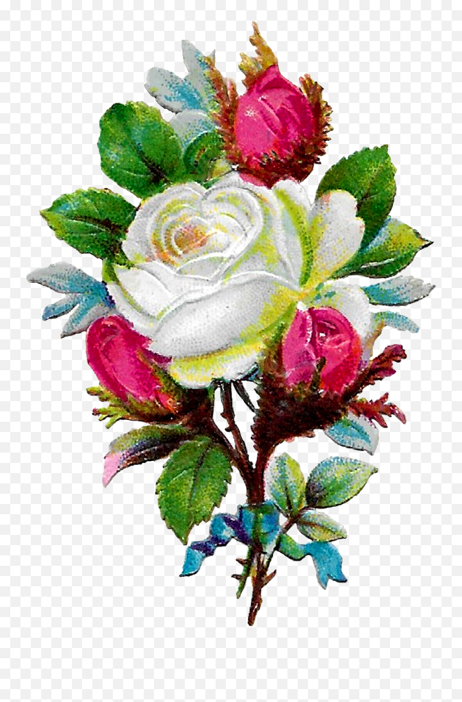 White Rose Clip Art Download Png - Allah Rose,White Rose Transparent