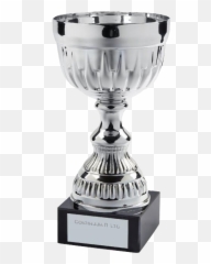 Download A1 Trophies And Engraving Cup Trophy - Champions Champions Silver Cup Png,Goblet Png