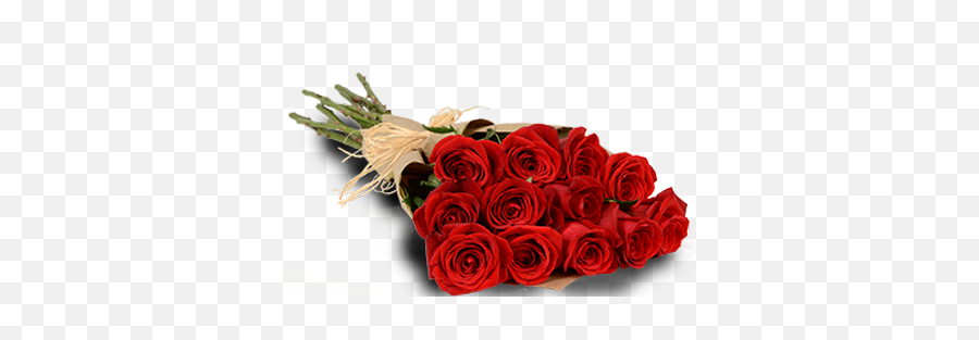 Red Passion One Dozen - Dozen Of Roses Png,Red Roses Png