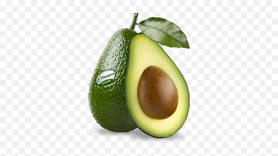 Eng U2013 Avoterra Png Aguacate