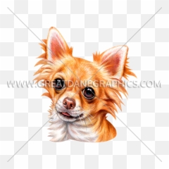Long Haired Chihuahua Production Ready Artwork For T - Shirt Toy Group Dogs Png,Chihuahua Png
