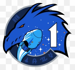 Filespacex Crew - 1 Logopng Wikimedia Commons Spacex Crew 1 Patch,Dragon Icon Png