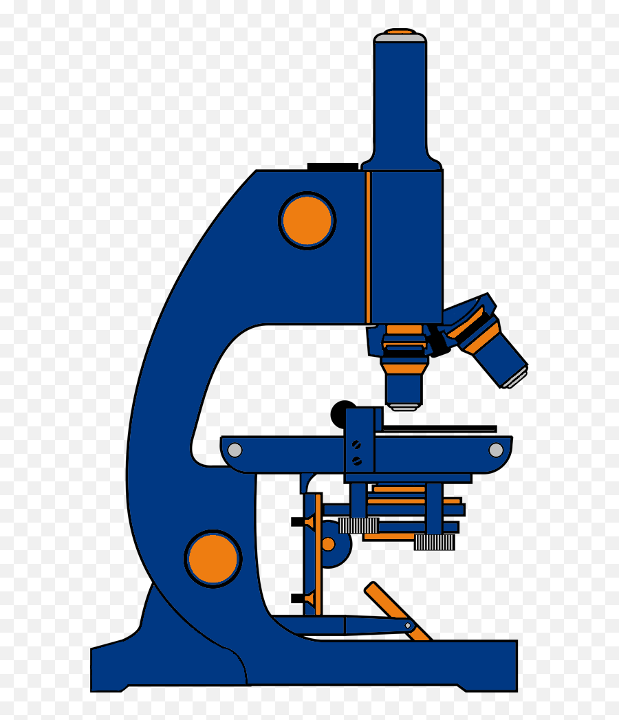 Obsessive Compulsive Man With Perfectionist Tendencies Finds - Petrographic Microscope Png,Microsoft Paint Transparent