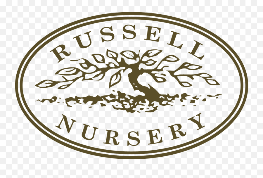 Caring For Ornamental Grasses Russell Nursery - Dot Png,Fountain Grass Png