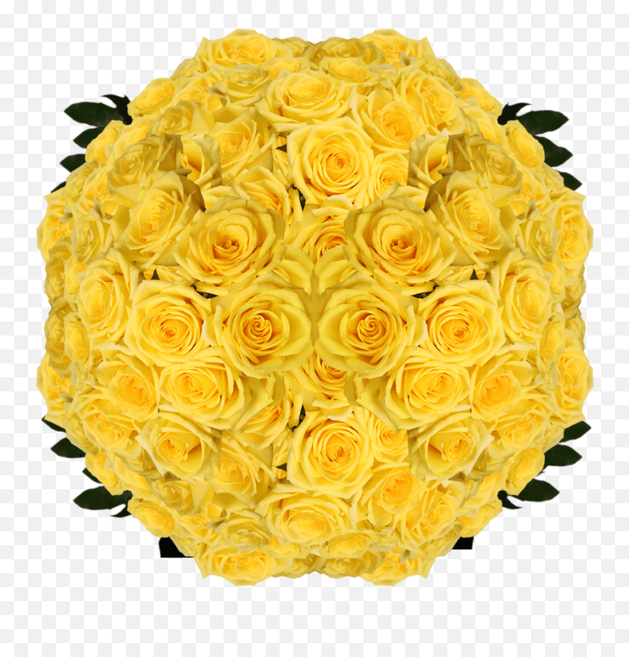 Globalrose Best Yellow Roses - 150 Gold Strike Roses Long Garden Roses Png,Yellow Roses Png