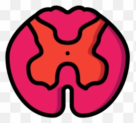 Spinal Cord Free Vector Icons Designed - Dot png