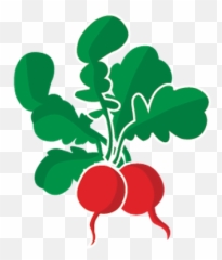 Produce From The Garden Icon Set Of 15 - Ingredients For Fresh png
