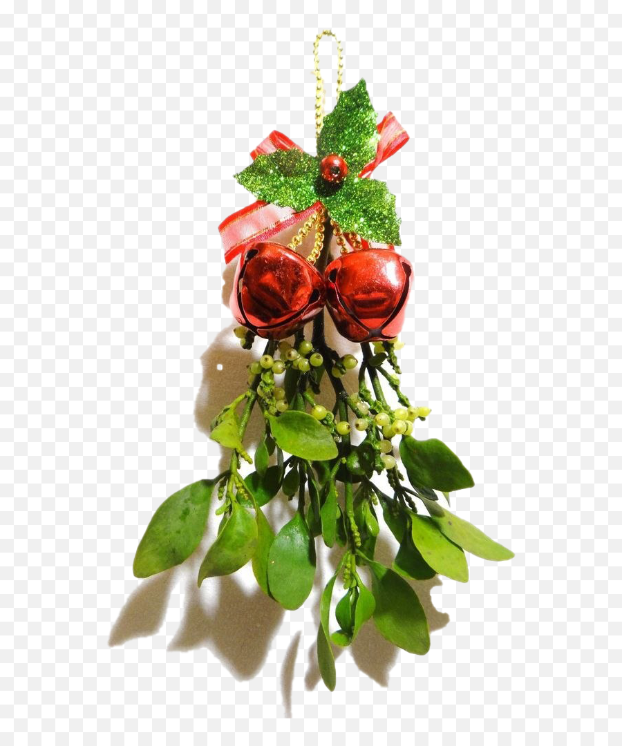 Real Mistletoe Transparent Png All - Real Mistletoe Transparent,Real Rose Png