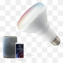 Starfish By Satco - Incandescent Light Bulb png