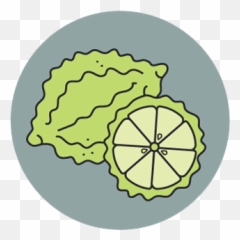 Perfumes - Kaffir Lime png