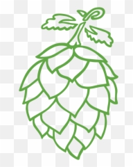 Contact Us Good Hops Brewery - Illustration Png,Hops Png