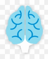 Dr Vet - Language png