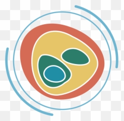 Keys To Quality Cataracts Surgery Eye In Sioux - Sg Canitz png