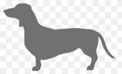 10 Off Soggy Doggy Mats - Offers The Good Vet u0026 Pet Guide Dachshund png