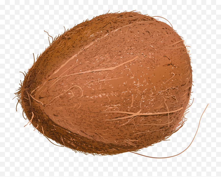Coconut Png Picture 35192 - Web Icons Png Coconut,Coconut Icon