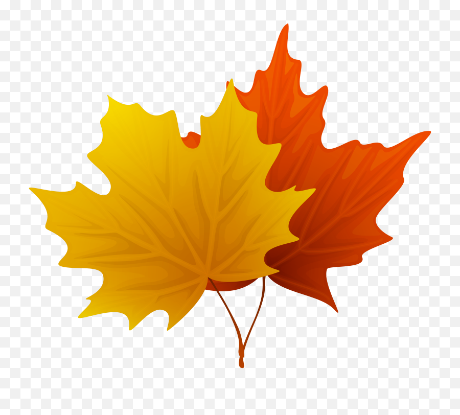 Decorative Clipart Fall Leaves - Autumn Leaves Clipart Png,Fall Leaf Transparent