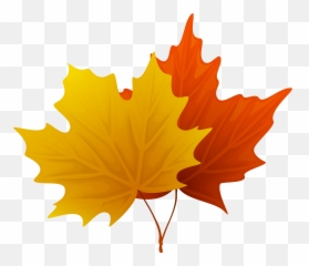 Decorative Clipart Fall Leaves - Autumn png