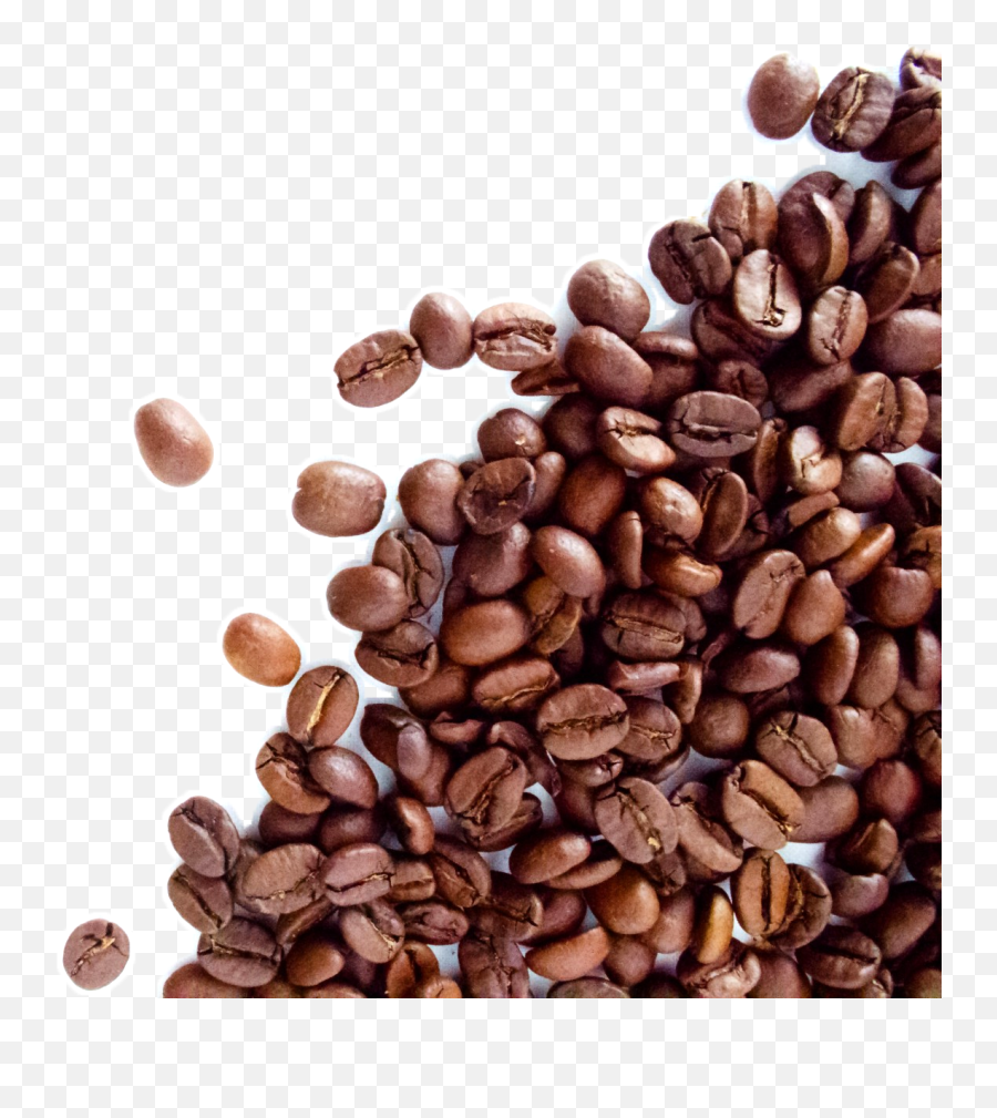 Coffee Bean Tea Leaf Espresso Cafe - Coffee Beans Background Hd Png,Coffee Beans Transparent