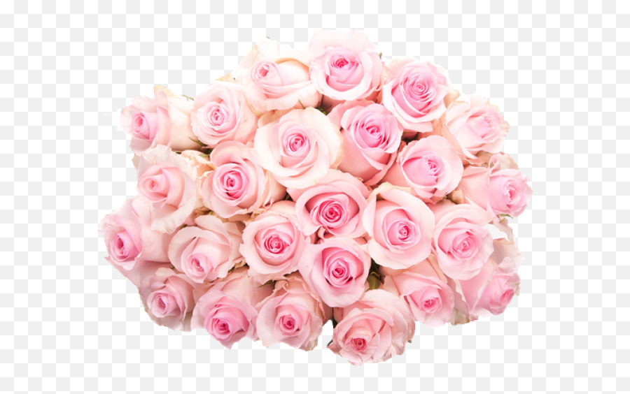 Pink And White Flowers Png 3 Image - Bouquet Pink Rose Png,White Roses Png