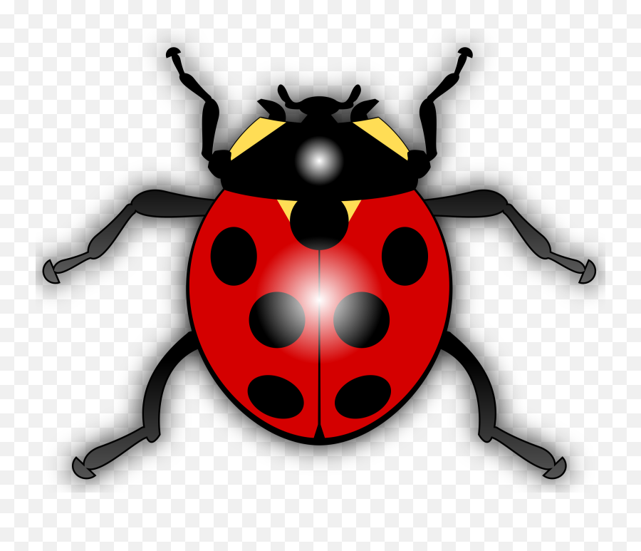 Download Insects Image Hd Clipart Png Free - Ladybird Clipart,Insects Png