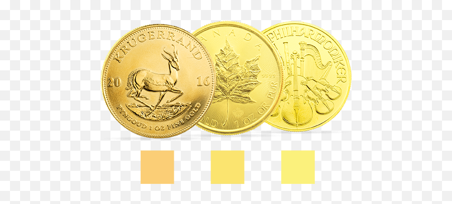 Golden Gates - Golden Coins Png,Coin Transparent