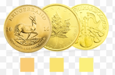 Golden Gates - Coins png
