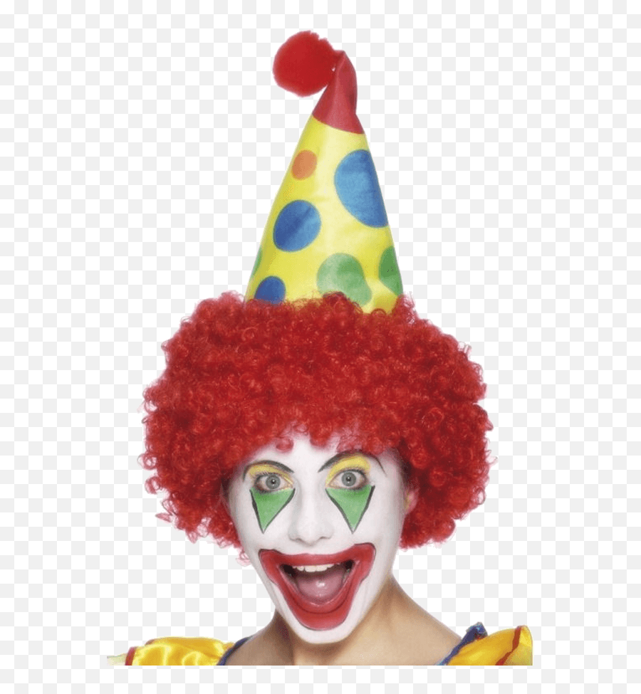 Clown Hat With Wig - Clown Hat Png,Clown Wig Png