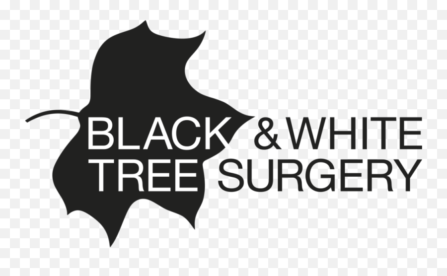 Black U0026 White Tree Surgery Png