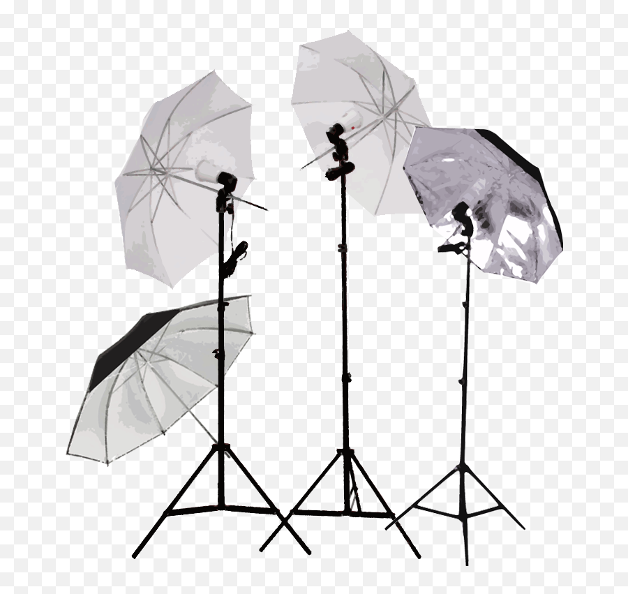 Photoshoot Umbrella Lights Png Clipart - Transparent Photography Lights Png,Studio Lights Png