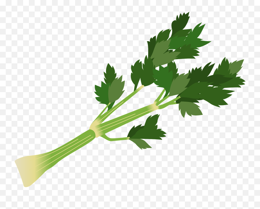 Celery Stalk Clipart Png