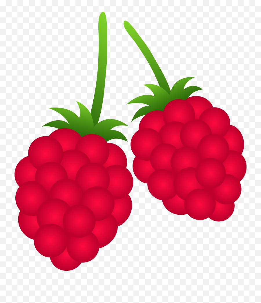 Free Berry Cliparts Download Clip Art - Raspberries Clip Art Png,Berry Png