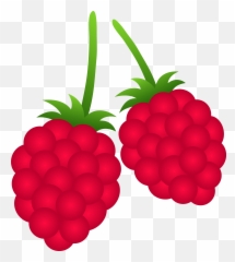 Free Berry Cliparts Download Clip Art - Raspberries Clip Art Png,Berry Png